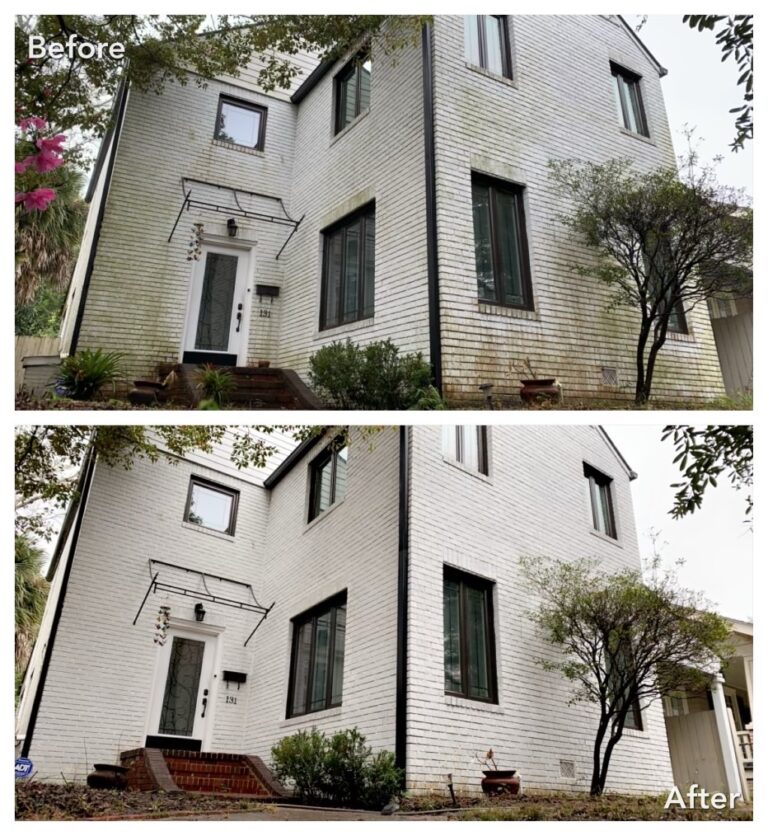 Before and after house wash with algae removed from siding in Rensselaer, NY
