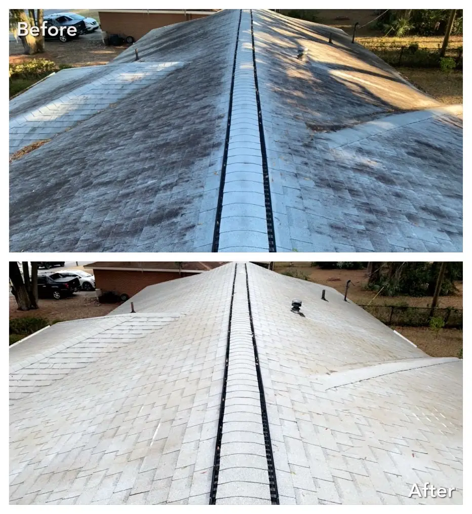Roof cleaning before and after for black streaks in the Capital Region, NY