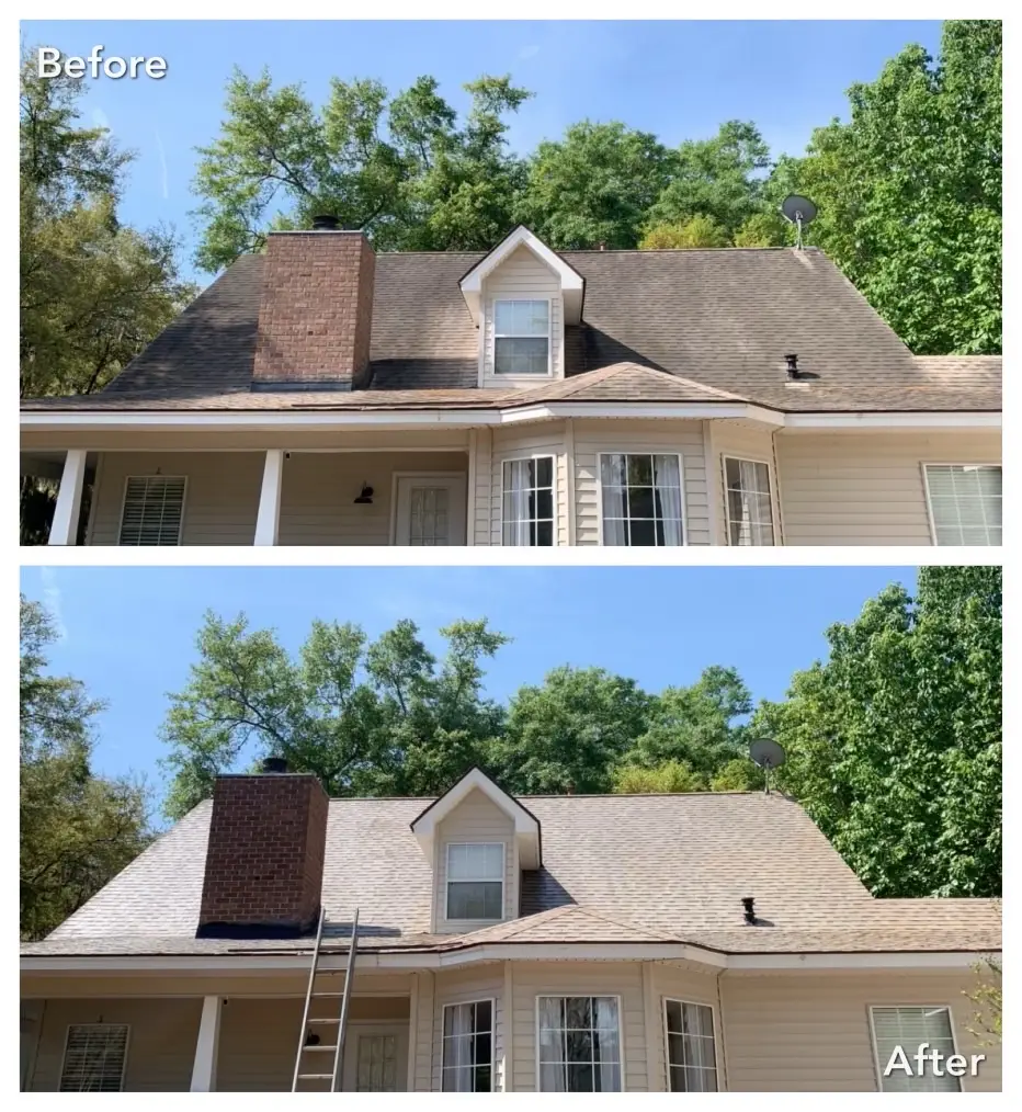 Roof soft wash before and after clearing black roof stains in the Capital Region, NY