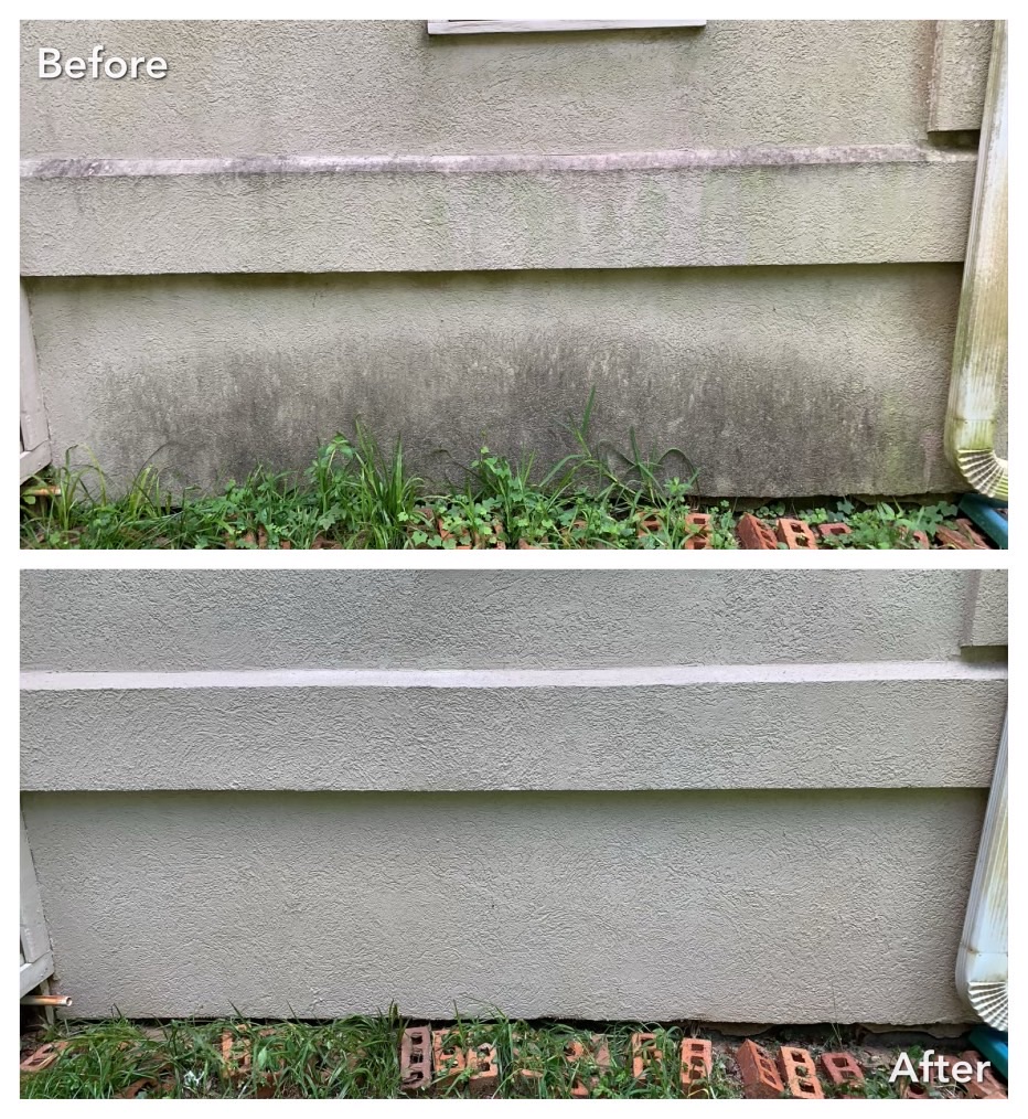 Cambridge, NY house washing before and after removing algae and black grime buildup