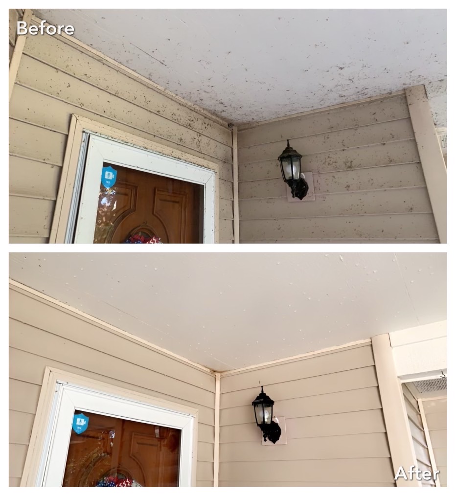 Claverack, NY house wash transformation removing algae and dark stains on siding