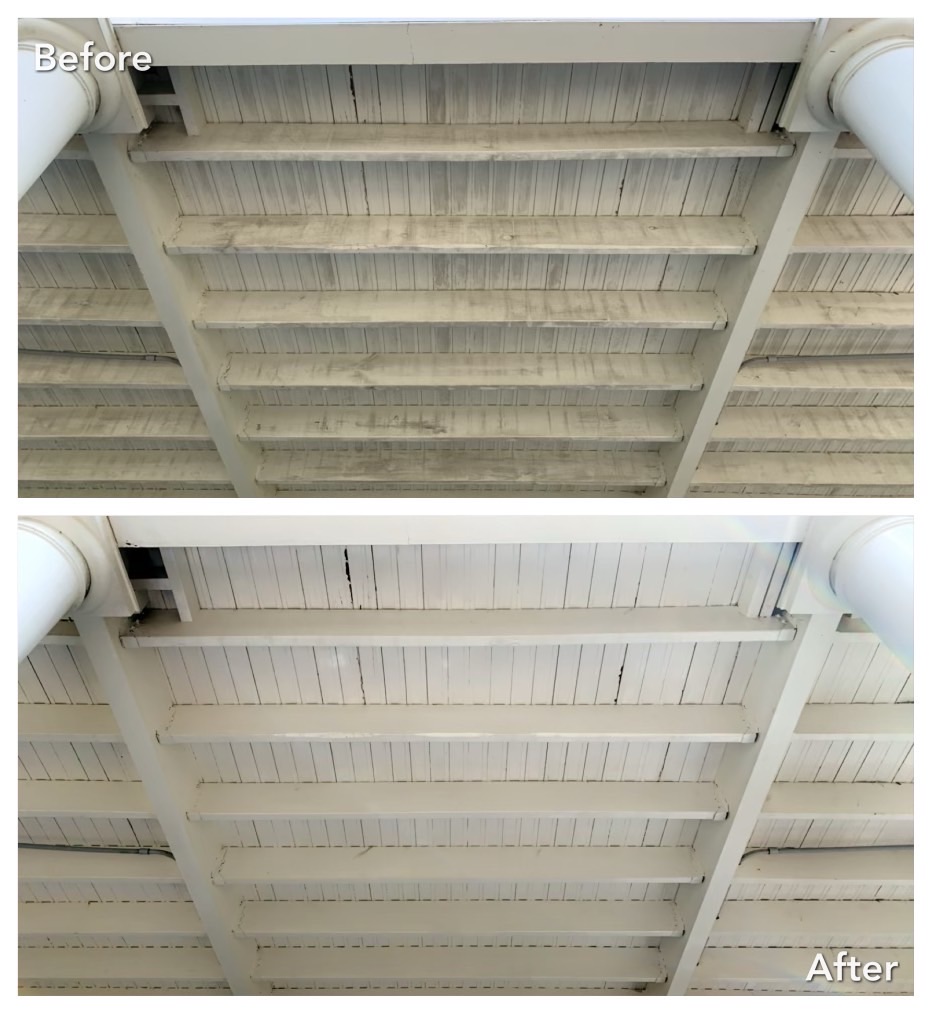 Before and after Delmar, NY house wash removing algae staining and dark exterior streaks