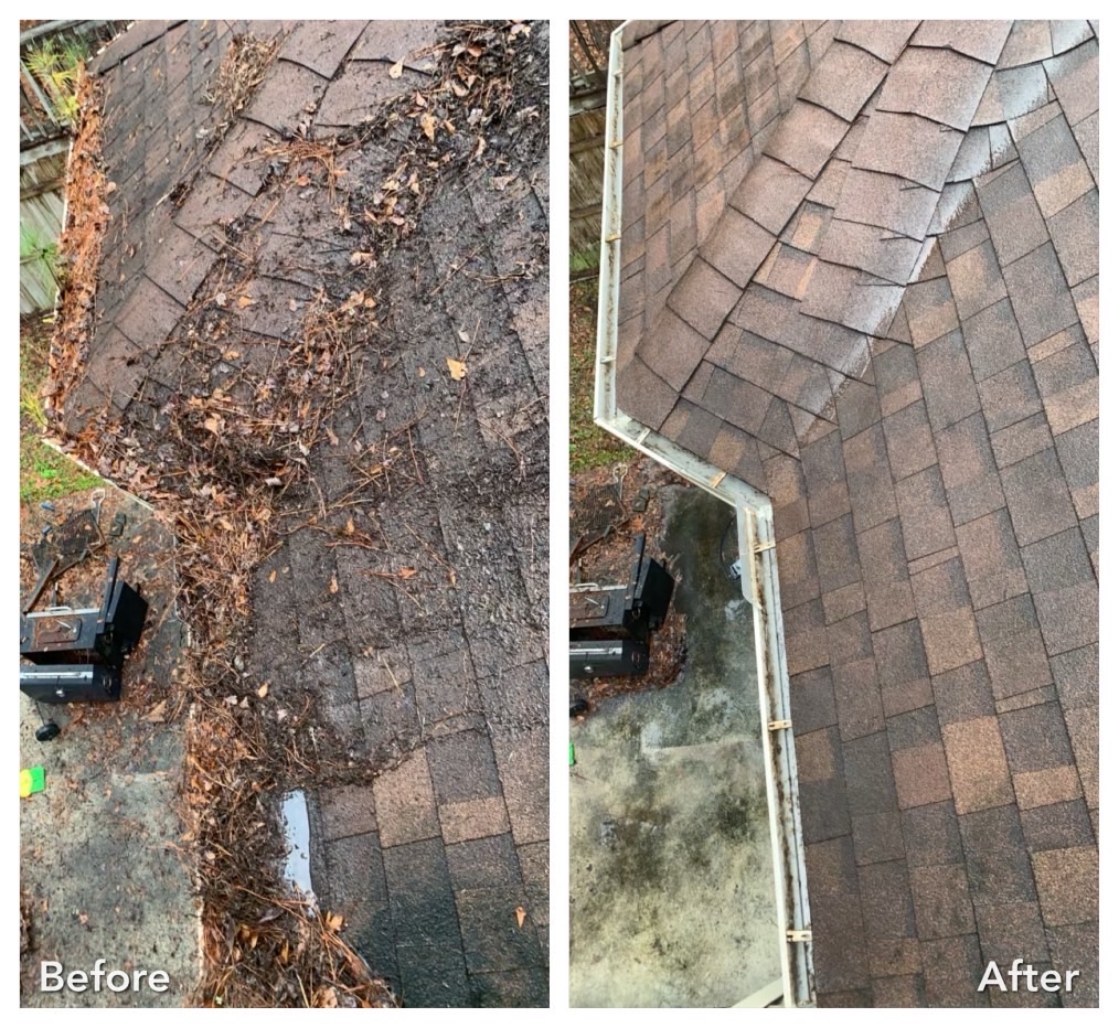 Delmar, NY roof before and after cleaning black streaks and algae staining